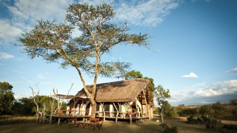 Ekorian's Mugie Camp