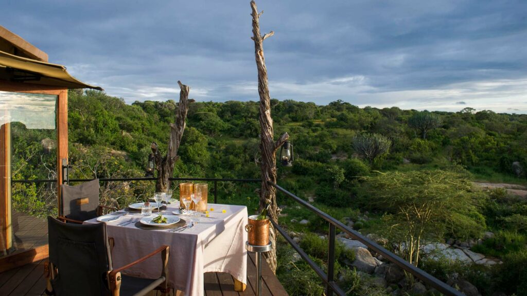 Outdoor meal