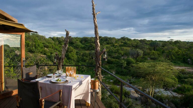 Outdoor meal