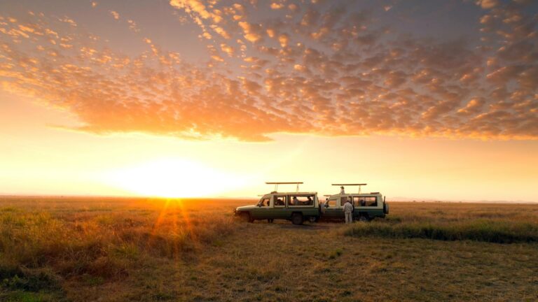Serengeti Plains